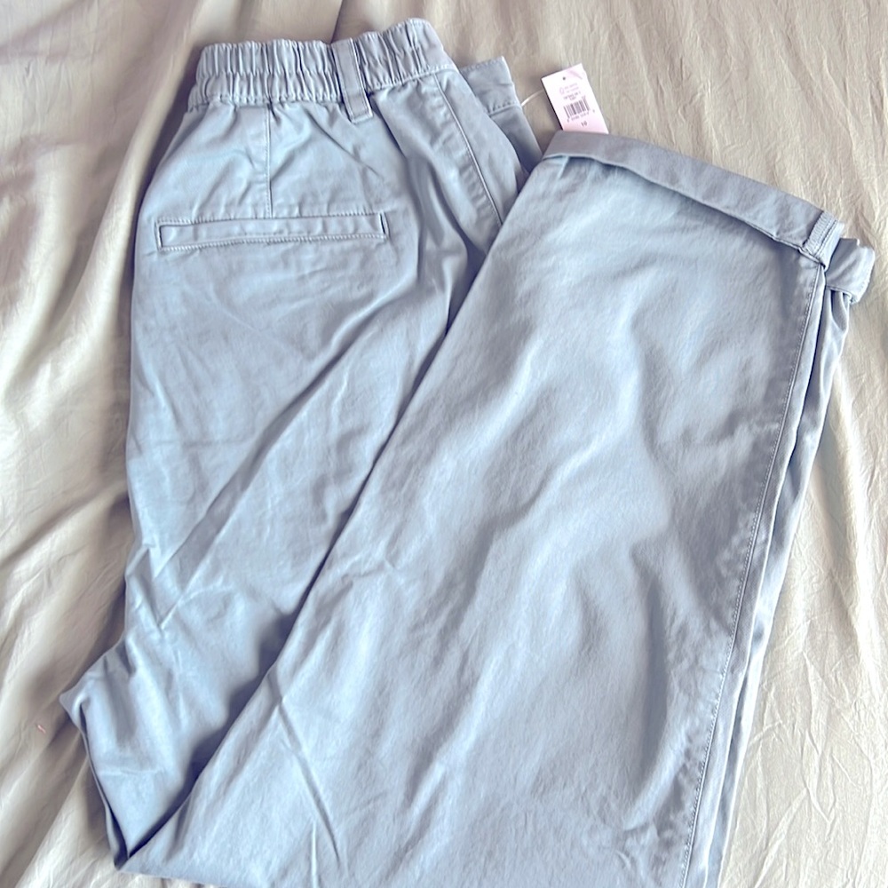 NWT Gap pleated Trousers
